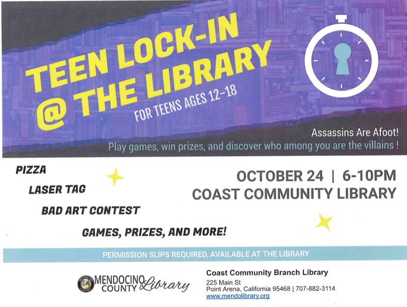 teen lockin at the library