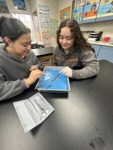 StemDissectionPAHS